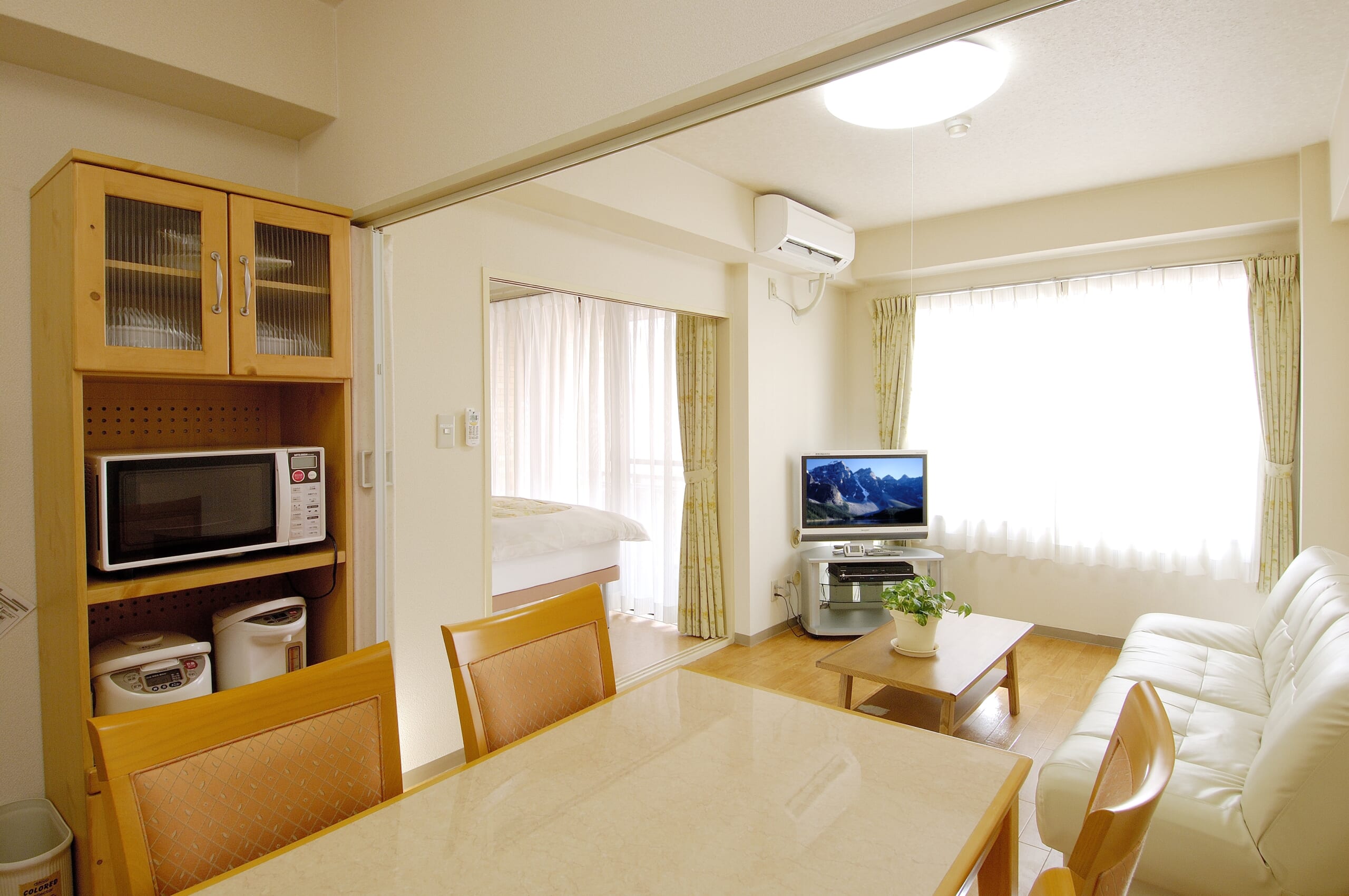 No.2 まいた：F-class A-typeの画像